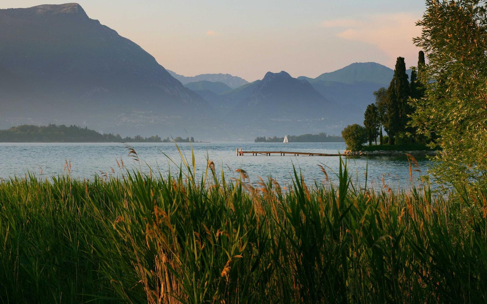 배경